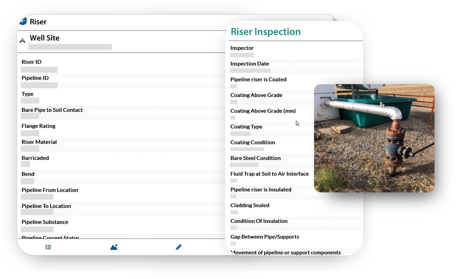 riser inspection form