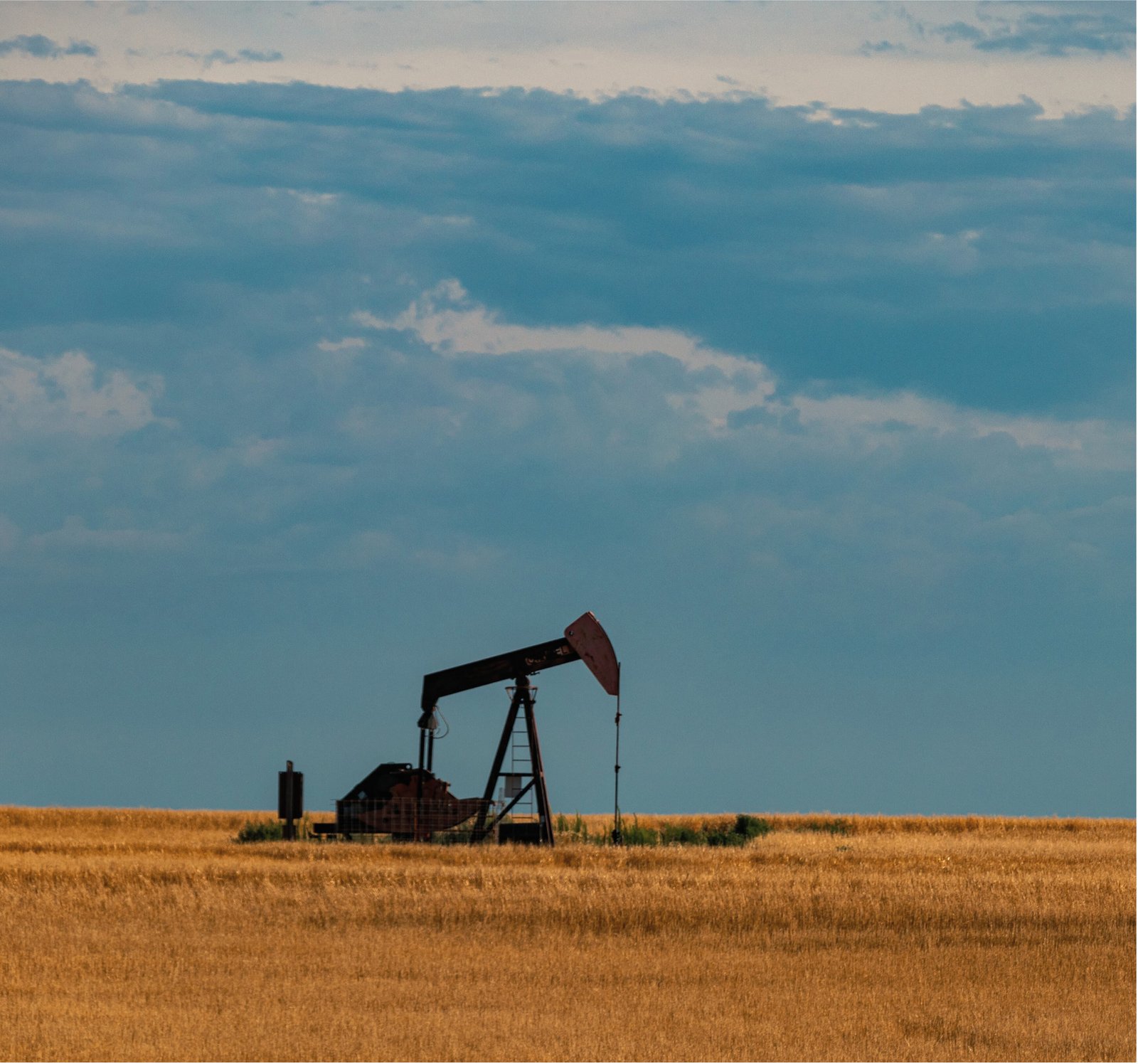 golden field with blue sky